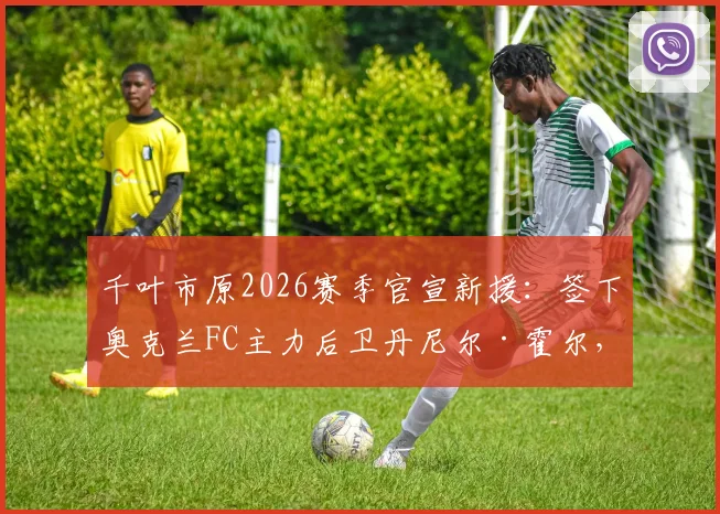 千叶市原2026赛季官宣新援：签下奥克兰FC主力后卫丹尼尔·霍尔，球队后防实力解析
